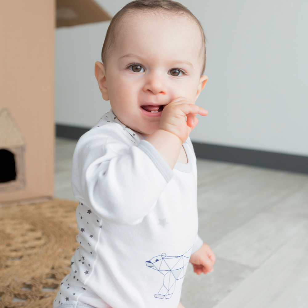 Baby Boy Cotton Bodysuit With Origami Print Sold By 2